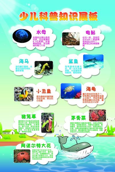 网络安全知识科普建议学习+收藏！